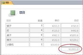 access如何对字段进行智能标志