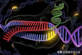 研究发现一次性注射有望治疗艾滋为患者带来曙光