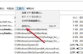 Everything怎么开启状态栏显示大小