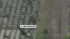 上海墓园“采花大盗”被抓