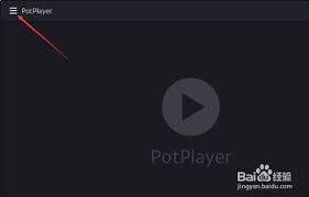 PotPlayer如何显示浮窗提示