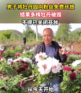 男子將牡丹園向粉絲免費開放 結(jié)果多株牡丹被毀 