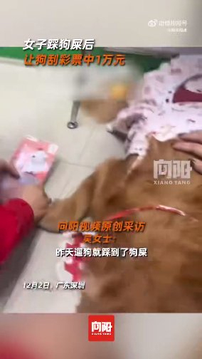 女子踩狗屎后用狗爪刮中1万元