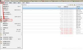 Beyond Compare文本替换怎么操作