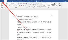 如何在Word中取消回车符