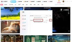 小鸟壁纸如何设置壁纸