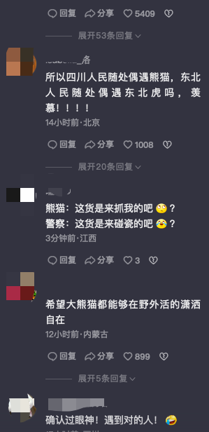 民警巡逻偶遇大熊猫路边发呆：“确认过眼神 遇到对的人！”