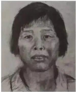 孙海洋谈梅姨被抓