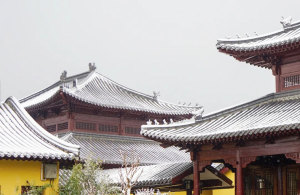 玉落尘外杳不群 | 一起来看东林初雪