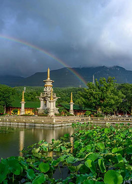 当庐山的夏至遇上双虹贯日，东林寺美景欣赏