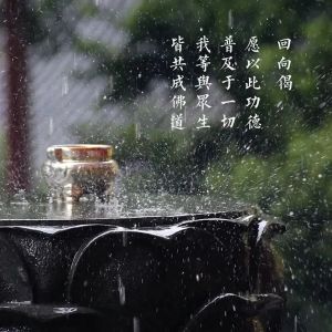 明明感觉“有我”，为什么佛教却说“无我”？