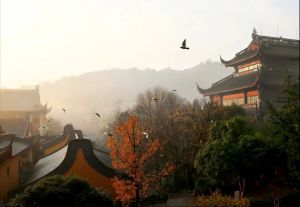 现代科学与佛法遥相接轨的趋势