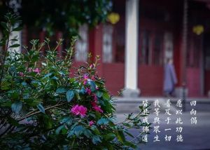 观世音菩萨早已成佛，为何还称为菩萨？