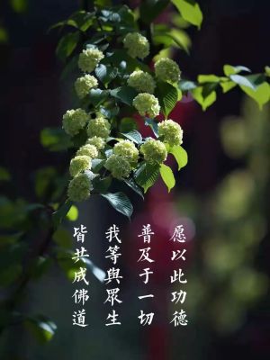 什么是四圣谛