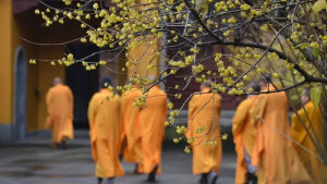 寺院都由哪些人组成?