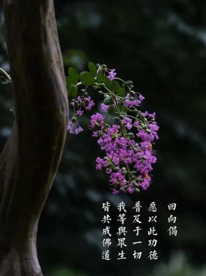 木人