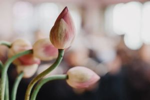 为什么在家佛弟子之间互相称呼师兄？