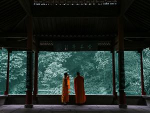 佛教的三学指的是什么？