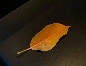 拘留孙佛是什么佛？
