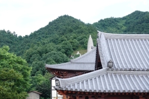 明影法师：生活禅的修行要点（一）重在基础