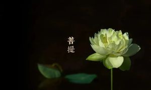 人生咸淡两由之