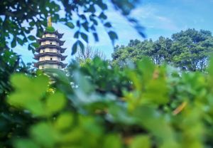 恰到好处的退让