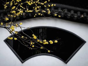 神通敌不过智慧