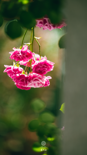 忍他让他的大智慧