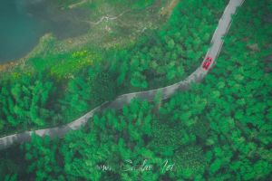 从跌倒的地方站起来