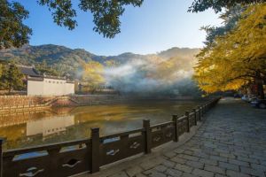浙江佛教五名寻迹（七）名寺·宁波天童寺