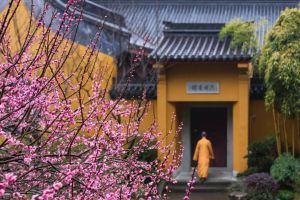 称父亲为弟弟的女孩