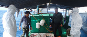 非法捕捞 3艘渔船、17人被海南海警查获