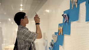 近500幅蝴蝶创作“破茧成蝶”，湖美办展迎“新生”