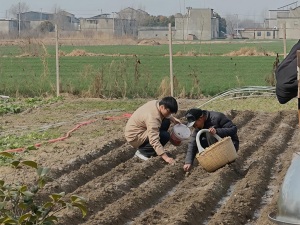 一场没有讲稿的“成长课”：这所高校的寒假作业，让学生学会“看见”家人