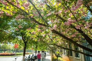 武汉纺织大学外经贸学院：深耕治理效能，以行政管理人员“提质赋能”系列专题讲座，绘就高校行政管理新画卷