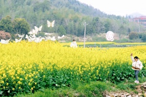 艺塑乡村 向花而行——2026大幕艺术季点亮乡村诗意家园