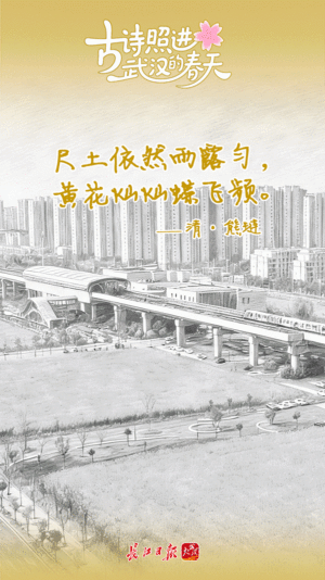 顶流“同款”打卡地，在武汉找到了！