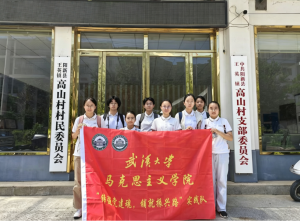 铸强党建魂 铺就振兴路——武汉大学马克思主义学院赴黄石市阳新县实践纪实