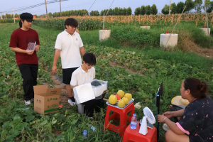 AI工具“下沉”到田间地头 武汉学院学子为54名巾帼村播打造“数智助农”方案