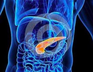 胰腺炎反复发作是什么原因 肠鸣大便不成形怎么回事
