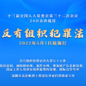 权威快报｜反有组织犯罪法通过！