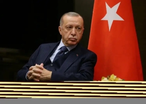 土耳其总统埃尔多安与乌克兰总统泽连斯基通电话