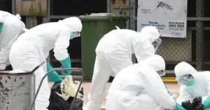 河南发现1例人感染H3N8禽流感病例 系4岁男童
