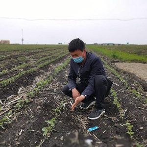 中国为黑土地保护立法夯实粮食稳产基础