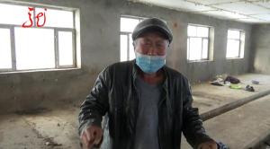 哈尔滨一男子为母猪接生遭遇不测 疑一氧化碳中毒