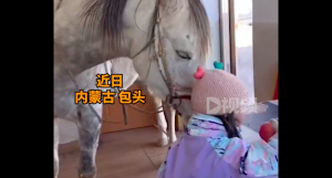4岁萌娃带马儿进屋吃自己零食 这也算是“青梅竹马”了吧