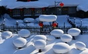 黑龙江雪乡对民警、医护人员及同行直系亲属免票