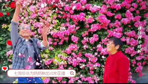 爱与被爱同时发生的瞬间 愿爱意不被辜负 有爱者尽情相拥