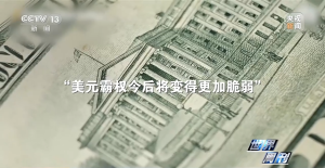 “黑天鹅”背后暴露美国金融体系内深层危机