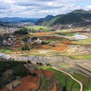 一个国家级杂交水稻制种大县的“种业振兴”之路